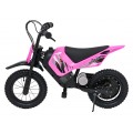 Electric Motor Vehicle SHARK Pink