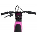 Electric Motor Vehicle SHARK Pink