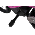 Electric Motor Vehicle SHARK Pink