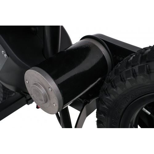 Electric Motor Vehicle SHARK Pink