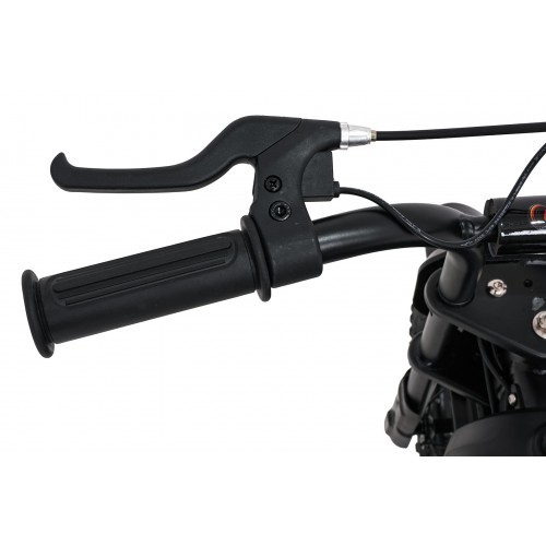 SHARK Electric Motor Vehicle Black