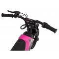 Electric Motor Vehicle SHARK Pink