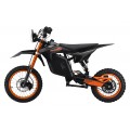 Electric Motor Vehicle E-RIDER X Black