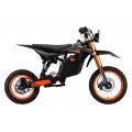 Electric Motor Vehicle E-RIDER X Black