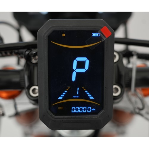 Electric Motor Vehicle E-RIDER X Black