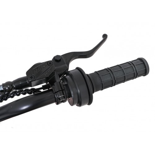 Electric Motor Vehicle E-RIDER X Black