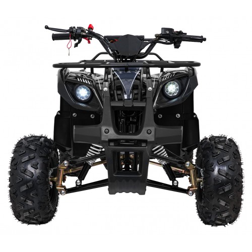 WILDPEAK 110cc Black Combustion Quad Vehicle