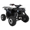 WILDPEAK 110cc Black Combustion Quad Vehicle