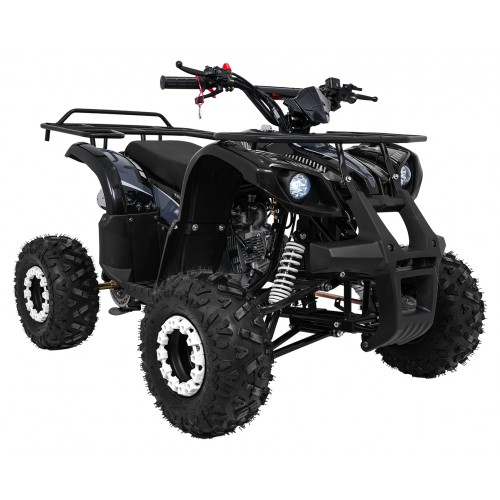WILDPEAK 110cc Black Combustion Quad Vehicle