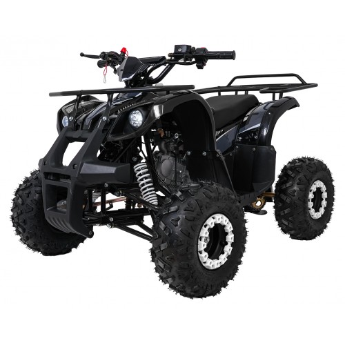 WILDPEAK 110cc Black Combustion Quad Vehicle