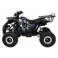 WILDPEAK 110cc Black Combustion Quad Vehicle