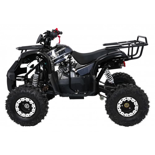 WILDPEAK 110cc Black Combustion Quad Vehicle