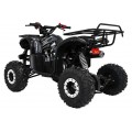 WILDPEAK 110cc Black Combustion Quad Vehicle