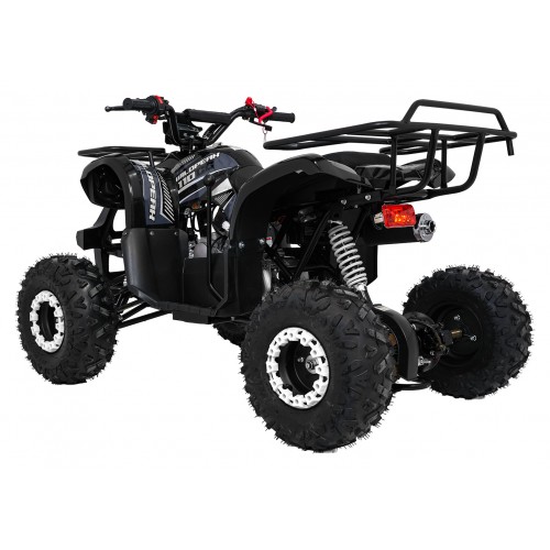 WILDPEAK 110cc Black Combustion Quad Vehicle