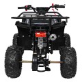 WILDPEAK 110cc Black Combustion Quad Vehicle