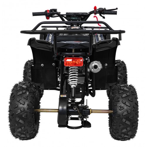 WILDPEAK 110cc Black Combustion Quad Vehicle