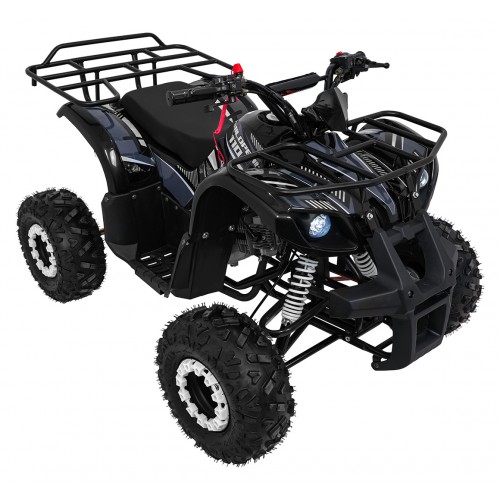 WILDPEAK 110cc Black Combustion Quad Vehicle