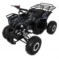 WILDPEAK 110cc Black Combustion Quad Vehicle