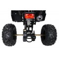 WILDPEAK 110cc Black Combustion Quad Vehicle
