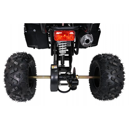 WILDPEAK 110cc Black Combustion Quad Vehicle