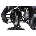 WILDPEAK 110cc Black Combustion Quad Vehicle