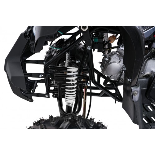WILDPEAK 110cc Black Combustion Quad Vehicle