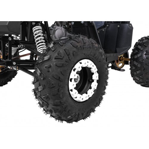 WILDPEAK 110cc Black Combustion Quad Vehicle