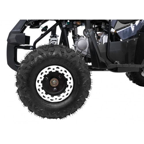 WILDPEAK 110cc Black Combustion Quad Vehicle