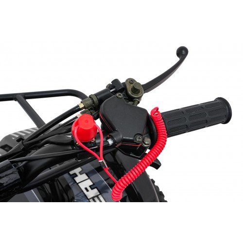 WILDPEAK 110cc Black Combustion Quad Vehicle