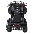 WILDPEAK 110cc Black Combustion Quad Vehicle