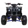 WILDPEAK 110cc Blue Combustion Quad Bike