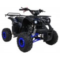 WILDPEAK 110cc Blue Combustion Quad Bike