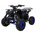WILDPEAK 110cc Blue Combustion Quad Bike