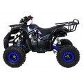 WILDPEAK 110cc Blue Combustion Quad Bike