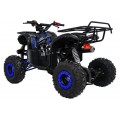 WILDPEAK 110cc Blue Combustion Quad Bike