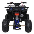 WILDPEAK 110cc Blue Combustion Quad Bike