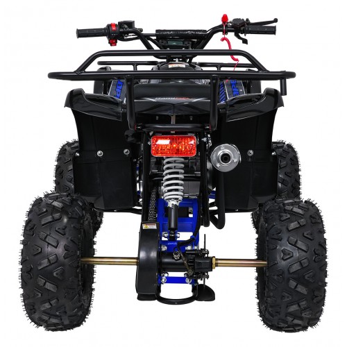 WILDPEAK 110cc Blue Combustion Quad Bike