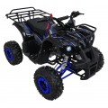 WILDPEAK 110cc Blue Combustion Quad Bike