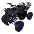 WILDPEAK 110cc Blue Combustion Quad Bike