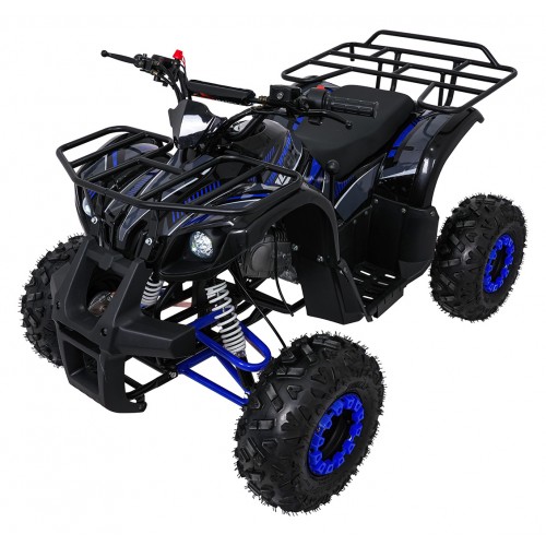 WILDPEAK 110cc Blue Combustion Quad Bike