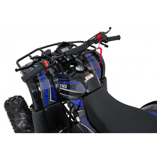 WILDPEAK 110cc Blue Combustion Quad Bike