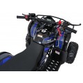 WILDPEAK 110cc Blue Combustion Quad Bike