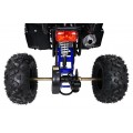 WILDPEAK 110cc Blue Combustion Quad Bike