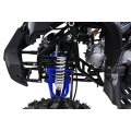 WILDPEAK 110cc Blue Combustion Quad Bike