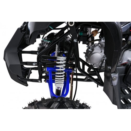 WILDPEAK 110cc Blue Combustion Quad Bike