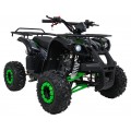 WILDPEAK 110cc Green Gasoline Quad Bike