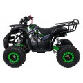 WILDPEAK 110cc Green Gasoline Quad Bike