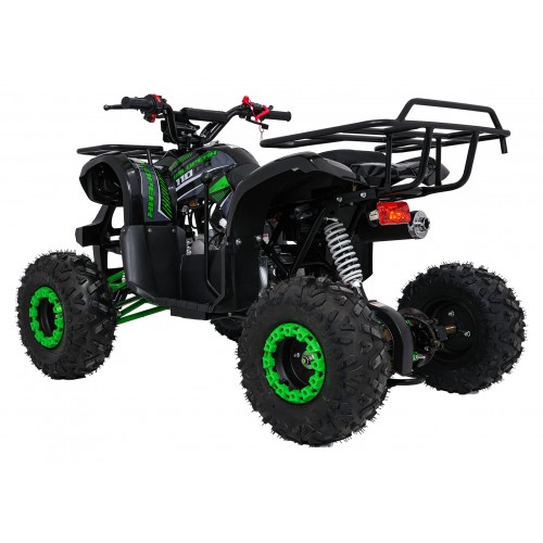 WILDPEAK 110cc Green Gasoline Quad Bike
