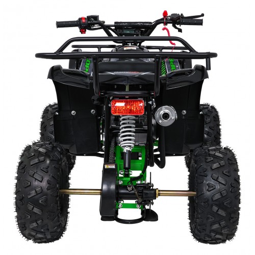WILDPEAK 110cc Green Gasoline Quad Bike