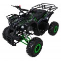 WILDPEAK 110cc Green Gasoline Quad Bike